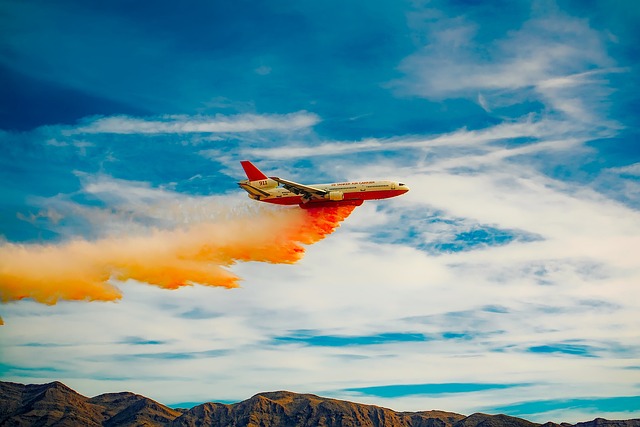 Whindersson Nunes contrata avião-tanque para apoiar combate a incêndios florestais no Piauí